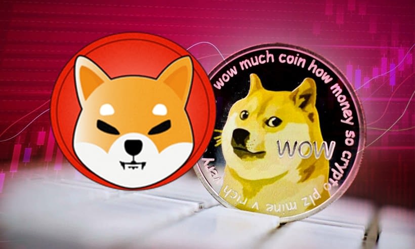 Giá Dogecoin (DOGE) và Shiba Inu (SHIB) giảm hơn 15% trong ngày, liệu nó đã  hết thời? - BlogDeFi